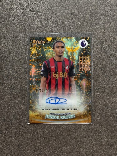 Topps premier league - premier, merlin