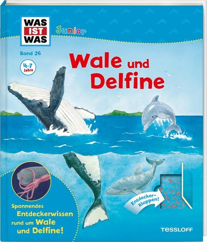 Was ist junior - ist,