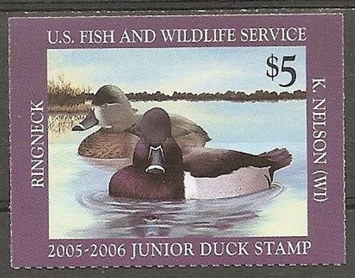 USA**Ringschnabel-ENTE-2005